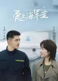 《爱上海军蓝》：青春与梦想的交织，海军学院的爱与成长，带你重温那段热血岁月！