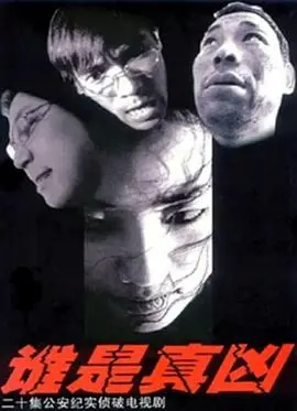 《谁是真凶》：迷雾重重，悬念迭起！一场跨越时空的博弈，真相与谎言的较量