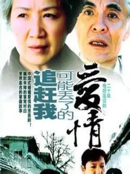 《追赶我可能丢了的爱情》：一场穿越时空的追爱之旅，重拾那些年错过的美好