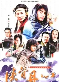 《侠骨丹心》：江湖恩怨与侠义精神的交织，一场关于情与法的生死绝恋
