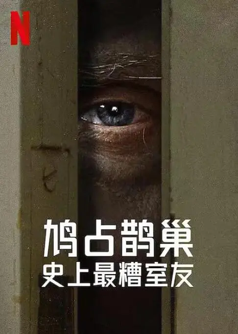 《史上最糟糕的室友》：当倒霉蛋遇上奇葩，一场爆笑的都市爱情喜剧正在上演！